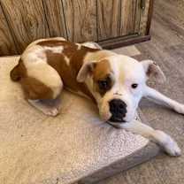 Thumbnail photo of Sally #1