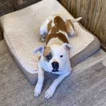 Thumbnail photo of Sally #2