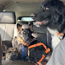 Thumbnail photo of Justice #4