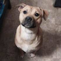 Thumbnail photo of Moon #1