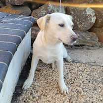 Thumbnail photo of Gumdrop #3