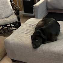 Thumbnail photo of Luna #3