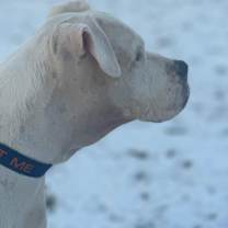 Thumbnail photo of Ghost #1