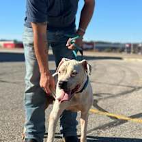 Thumbnail photo of Ghost #2