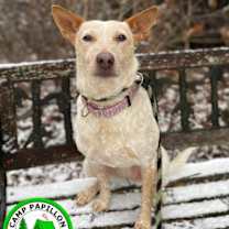 Thumbnail photo of Elsa #2