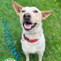 Thumbnail photo of Elsa #3