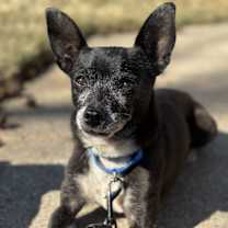 Thumbnail photo of Harry #1