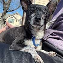 Thumbnail photo of Harry #3