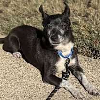 Thumbnail photo of Harry #4