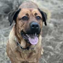 Thumbnail photo of Cinnabon #1