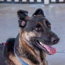 Thumbnail photo of Coco #1