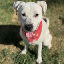 Thumbnail photo of ATTICUS #2