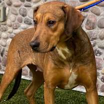 Thumbnail photo of EMBER #2