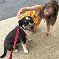 Thumbnail photo of Lila #2