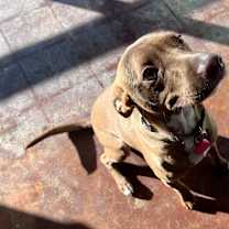 Thumbnail photo of Gordy #4