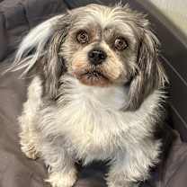 Thumbnail photo of Carson #1