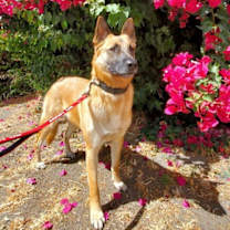 Thumbnail photo of Freyja #1