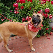 Thumbnail photo of Freyja #2