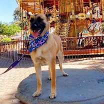 Thumbnail photo of Freyja #3