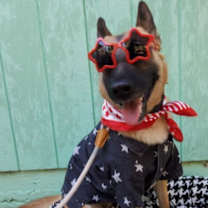 Thumbnail photo of Freyja #4