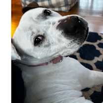 Thumbnail photo of Jasmine the Jolly #2