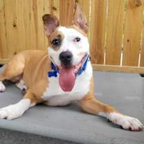 Thumbnail photo of Zeus #3