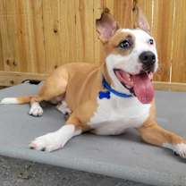 Thumbnail photo of Zeus #4