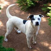 Thumbnail photo of Olaf #1