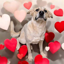 Thumbnail photo of Ron #2