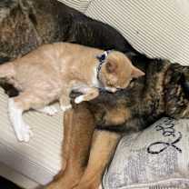 Thumbnail photo of Farah #3