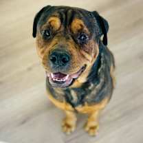 Thumbnail photo of Eddy #4