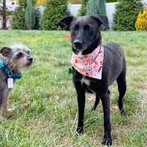 Thumbnail photo of Reina Paragould - LOCAL #1