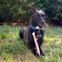 Thumbnail photo of Reina Paragould - LOCAL #3