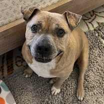 Thumbnail photo of Gabby #1