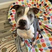 Thumbnail photo of Romeo #1