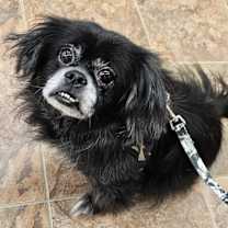 Thumbnail photo of Pete #3