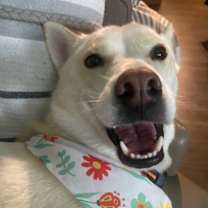 Thumbnail photo of Maya #2