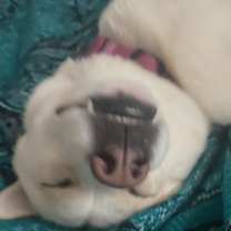 Thumbnail photo of Maya #3