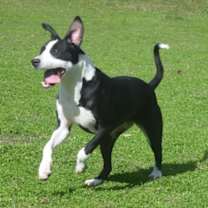 Thumbnail photo of Gabby #3