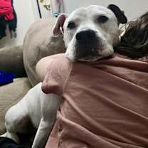 Thumbnail photo of Jasmine the Jolly #3