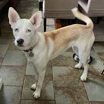 Thumbnail photo of Violet #3