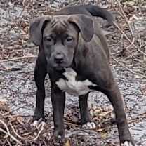 Thumbnail photo of Spooky #1