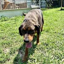 Thumbnail photo of Atlas #3