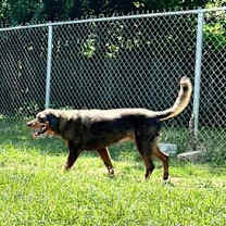 Thumbnail photo of Atlas #4