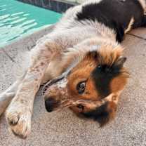 Thumbnail photo of Flynn rider #3