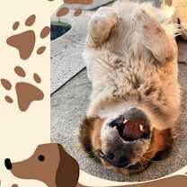 Thumbnail photo of Flynn rider #4