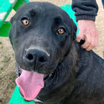 Thumbnail photo of HOLT #2