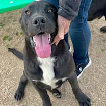 Thumbnail photo of HOLT #3