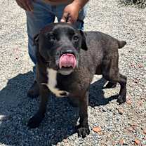 Thumbnail photo of HOLT #4