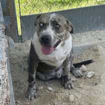 Thumbnail photo of Willie #2